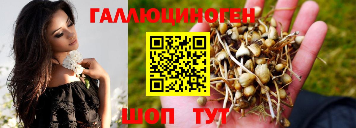 Кандалакша  Псилоцибиновые грибы прущие грибы  Вход с VPN  Галлюциногенные грибы прущие грибы 