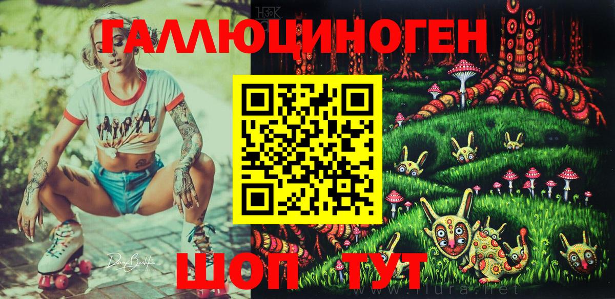 Псилоцибиновые грибы Psilocybe Кандалакша